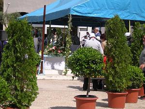 NIMES JEUDI 05 MAI 2005 ELISABETH ASENCIO 039